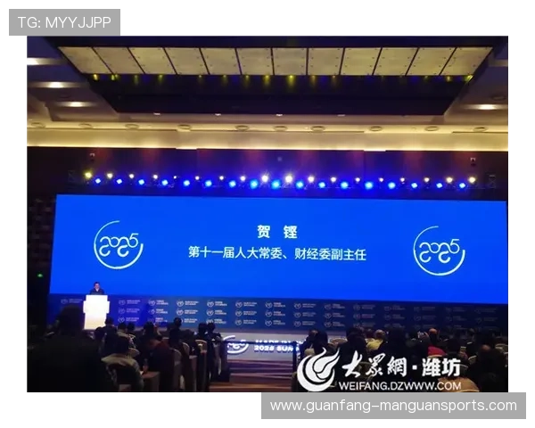 雷丁联发展历程与未来前景解析及球队文化深度观察 雷丁联发展历程与未来前景解析及球队文化深度观察